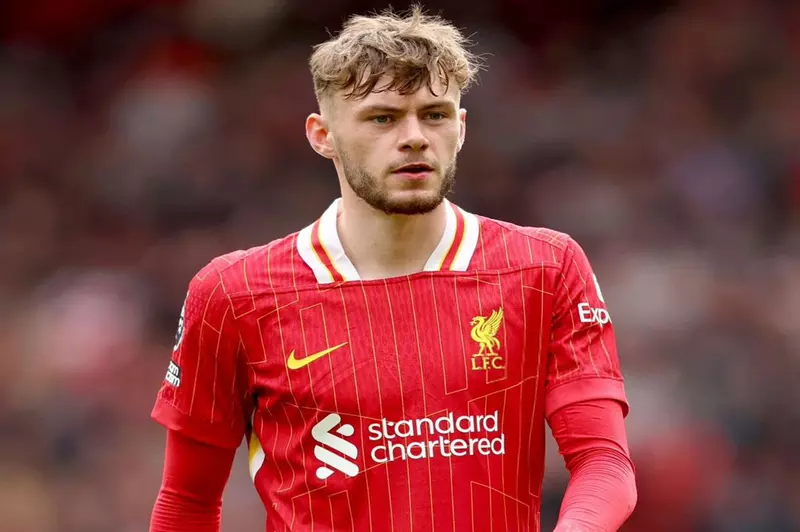 كونور برادلي